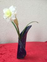 Cliquer pour agrandir
